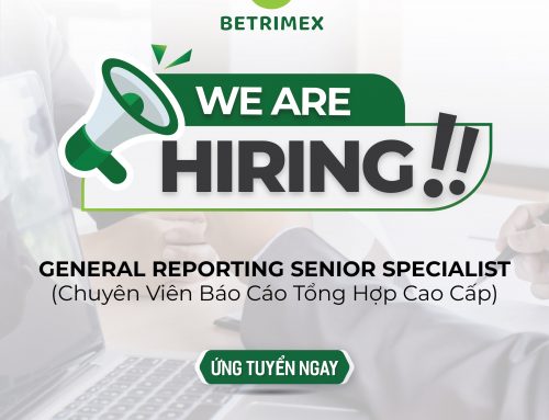 BETRIMEX tuyển dụng Chuyên viên báo cáo tổng hợp cao cấp, ưu tiên sở hữu ACCA