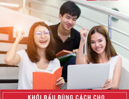 Hướng Dẫn Sinh Viên Năm Hai Học ACCA – Khởi Đầu Đúng Cách Cho Tương Lai Sự Nghiệp