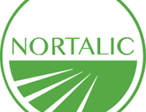 Nortalic Vietnam tuyển dụng Business Analyst (BA Officer) – [Hạn ứng tuyển: 31/12/2025]